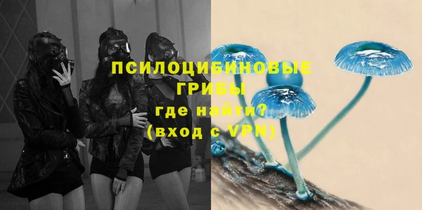 PSILOCYBIN Абаза