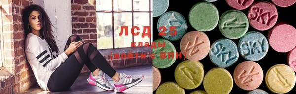 амф Пестово