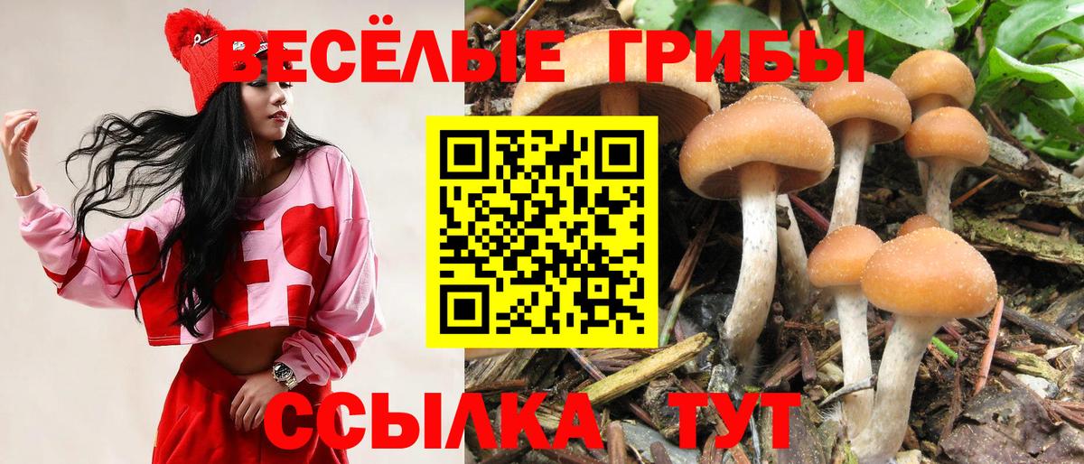 Псилоцибиновые грибы мухоморы Холмск